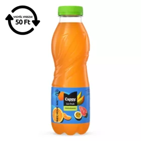   Üdítőital szénsavmentes CAPPY Ice Fruit Multivitamin 12%-os 0,5L DRS