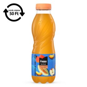   Üdítőital szénsavmentes CAPPY Ice Fruit Őszibarack-Sárgadinnye 12%-os 0,5L DRS