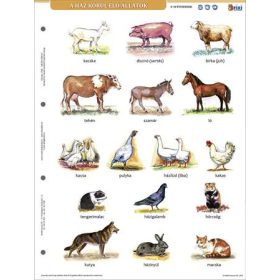   STIEFEL Tanulói munkalap, A4, STIEFEL" A ház körül élő állatok"