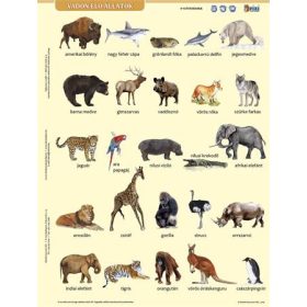   STIEFEL Tanulói munkalap, A4, STIEFEL" Vadon élő állatok"