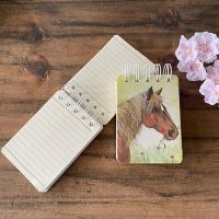 Spirál egyéb füzetek